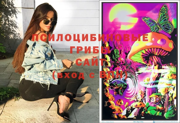 хмурый Белокуриха