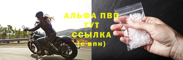 хмурый Белокуриха