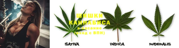 хмурый Белокуриха