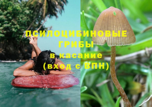 эйфоретик Белоозёрский