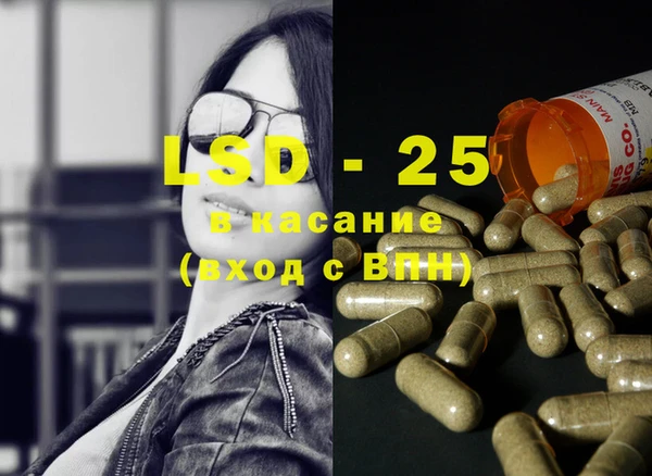 хмурый Белокуриха