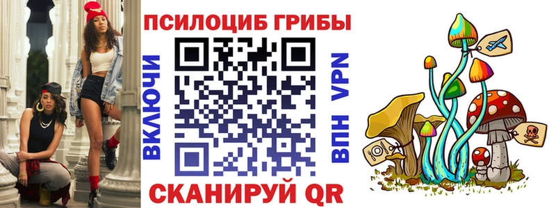 купить наркоту Большой Камень Галлюциногенные грибы мицелий